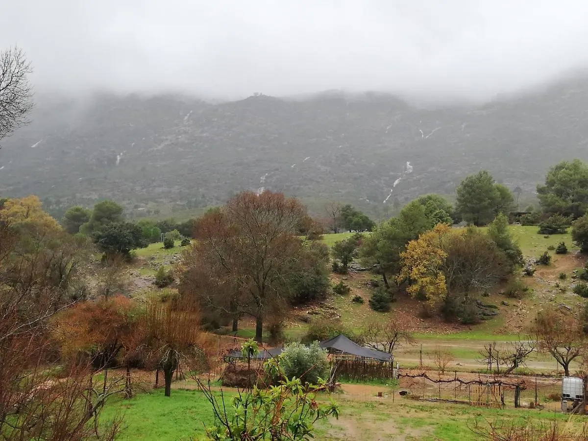 Vivienda Rodriguez Apartment Arroyo Frio 0*,  Spain